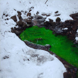 Green dye discharging into Potash Brook