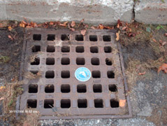 Storm drain with marker