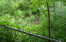 Existing overgrown detention pond